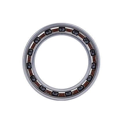 25376 Ceramic Bearing