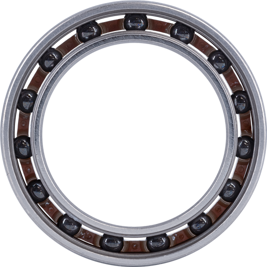 30407 Ceramic Bearing